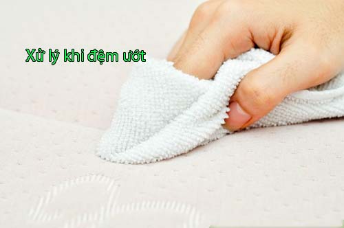 Xử lý ra sao khi đệm ướt